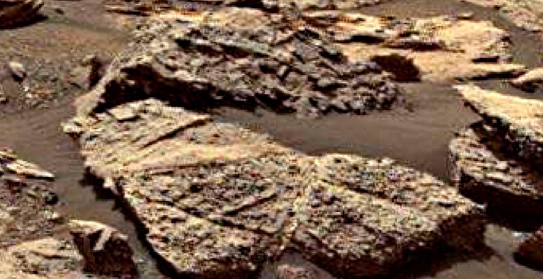 mars-sol-1485-anomaly-artifacts-2-was-life-on-mars