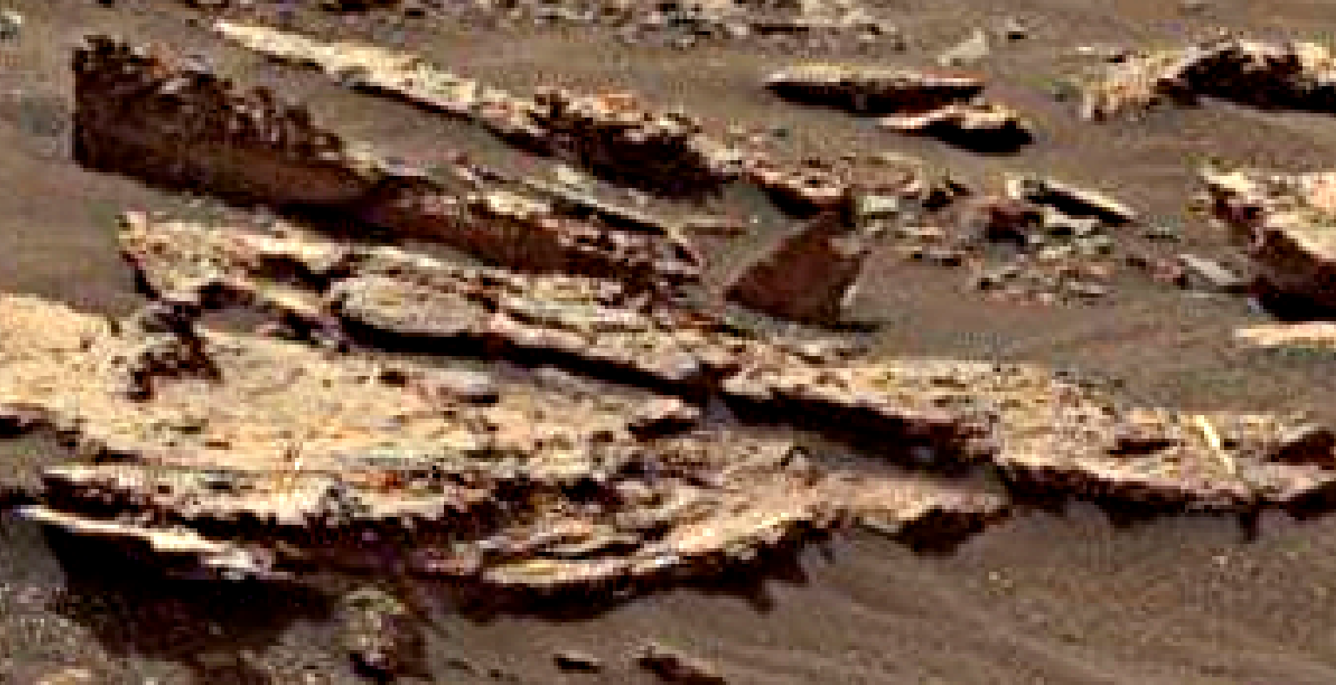 mars-sol-1485-anomaly-artifacts-3-was-life-on-mars