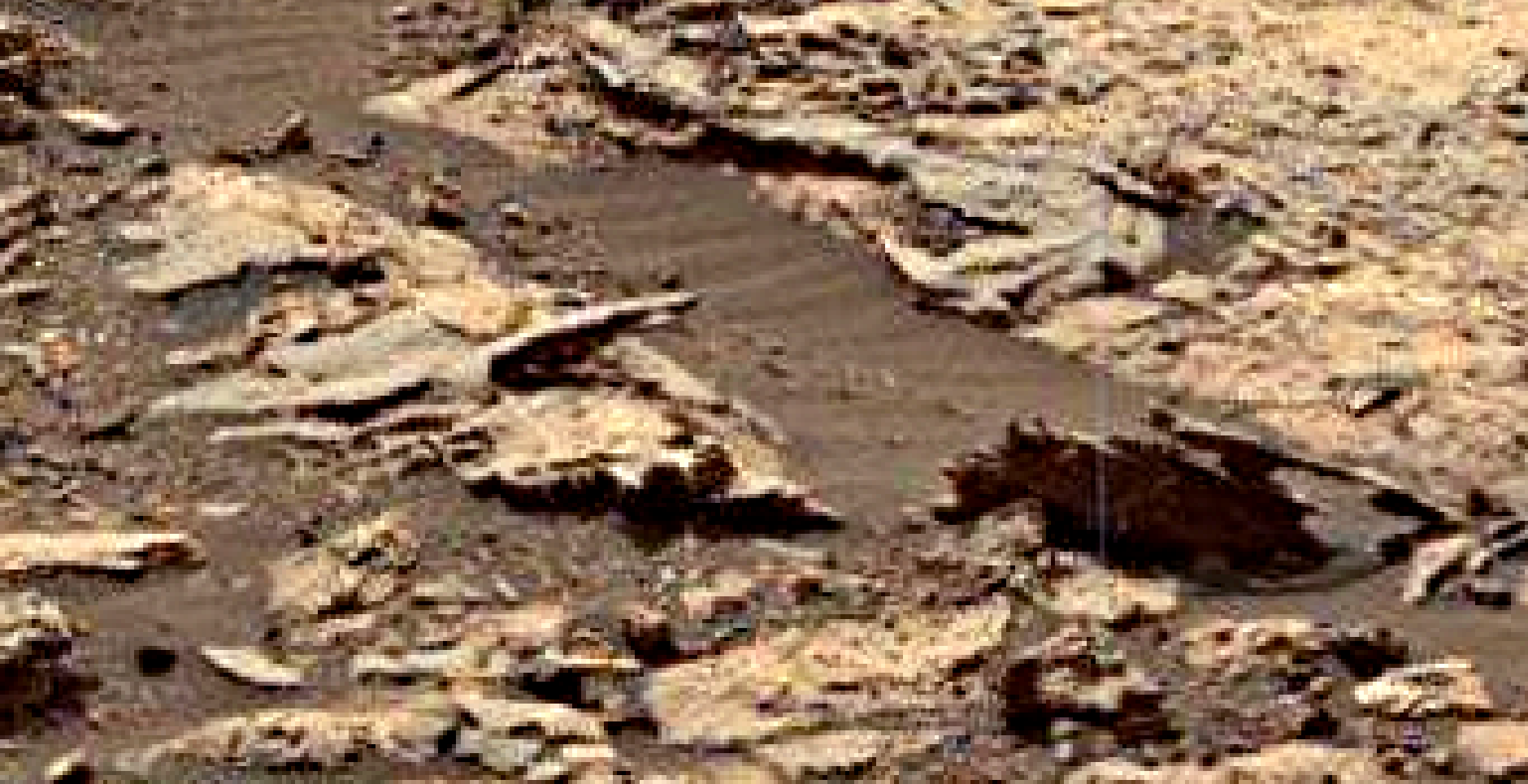 mars-sol-1485-anomaly-artifacts-4-was-life-on-mars