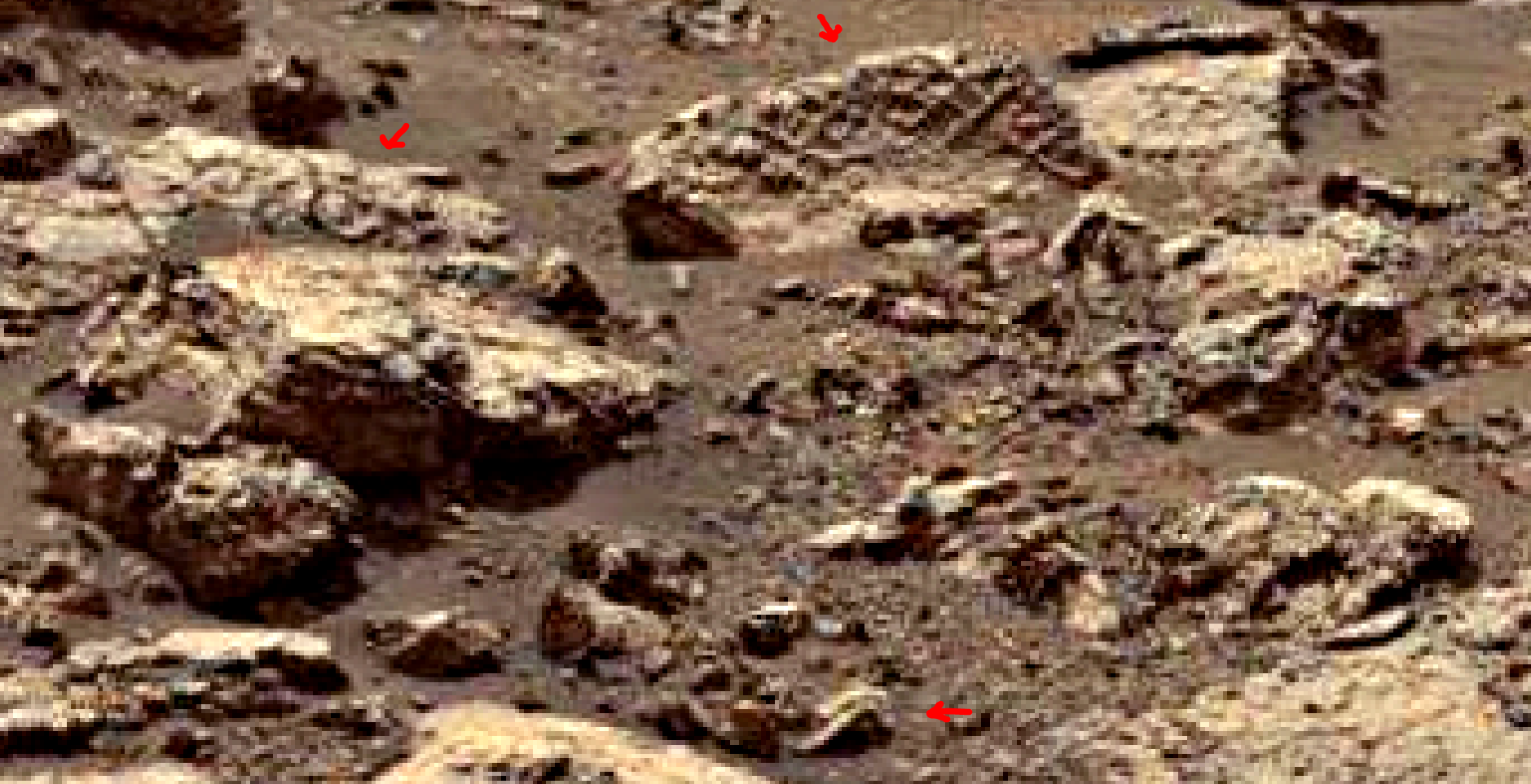 mars-sol-1485-anomaly-artifacts-6-was-life-on-mars