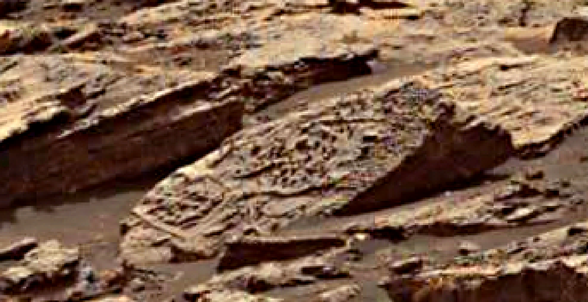 mars-sol-1485-anomaly-artifacts-8-was-life-on-mars