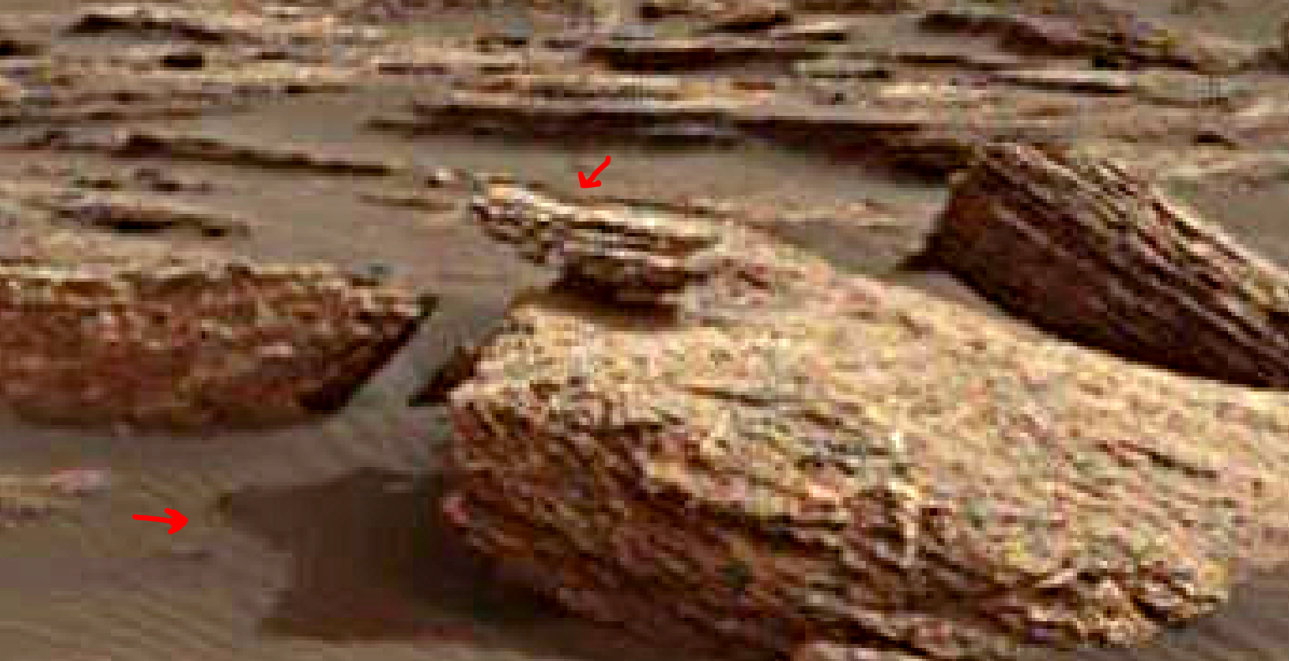 Mars anomalies - bird sculpture