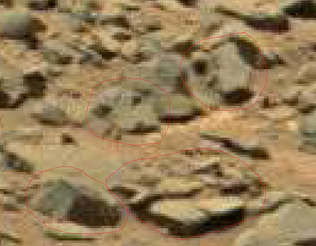mars-sol-710-gale-crater-fish-stone-outlined